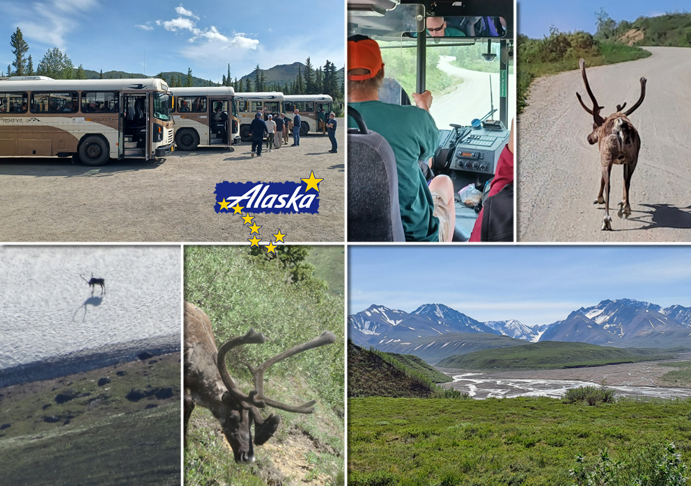 Denali Park